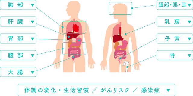 部位から探す